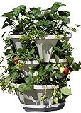 3 Tier Stackable Garden - Indoor / Outdoor Vertical Planter Set - Self Watering Tiers From Top Down - Grow Fresh Herbs In The Kitchen or Patio - Smart Planting Pots - Used for Strawberries Herbs Peppers Flowers and Succulents (Stone)