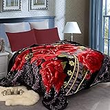 JML Heavy Fleece Blanket Queen(79'x91', 9 lbs), 2 Ply Design, Ultra Soft Warm Thick Korean Mink Printed Plush Mink Raschel Bed Blanket for Autumn,Winter,Bed,Home,Gifts