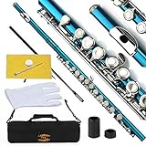 Glory Closed Hole C Flute With Case, Tuning Rod and Cloth,Joint Grease and Gloves,Sea Blue