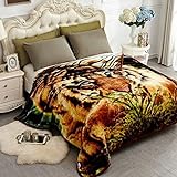 JYK Thick Korean Faux Mink Fleece Blanket 75”x87” and 5 LB Mink Blanket - 2 Ply Reversible 520GSM Silky Soft Plush Warm Blanket for Autumn Winter (Queen, Tiger)