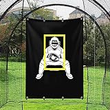 Baseball Backstop 4ft x 6ft Batting Cage Target Backdrop with Strike Zone for Baseball Softball Pitching Target Net Training Practice Tool (4ft x 6ft-Catcher)