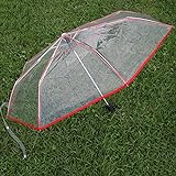 WerFamily Clear Transparent Folding Auto Open/Close Umbrella w Reinforced Steel Ribs (red Rim) Fast ePacket Shipping