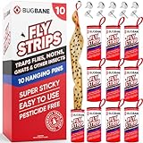 10 Fly Strips Indoor Sticky Hanging with Pins. Fly Trap Fly Paper Strips Indoor Hanging Fly Tape for Indoors and Outdoor. Fly Catcher Fly Ribbon Sticky Fly Traps for Indoors Flypaper. Fruit Gnat Traps