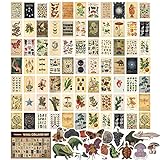 TRAMIN 100 PCS Vintage Posters, Collage Kit Aesthetic Pictures, Cottagecore Room Decor for Bedroom, Cute Dorm Photo Wall Decor for Teen Girls, Botanical Wall Art…