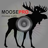 Moose Calls - Moose Sounds - Moose Hunting Calls