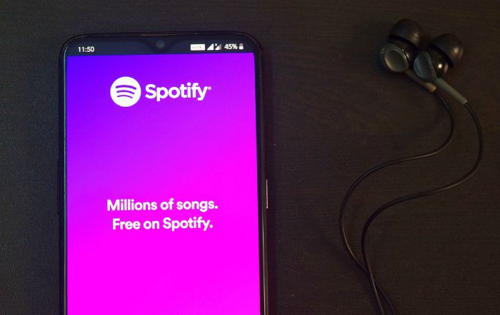 spotify to mp3 download online